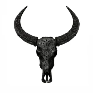 Black Moth